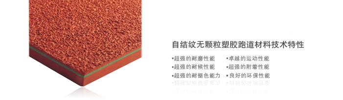 自結紋塑膠跑道 自結紋塑膠跑道